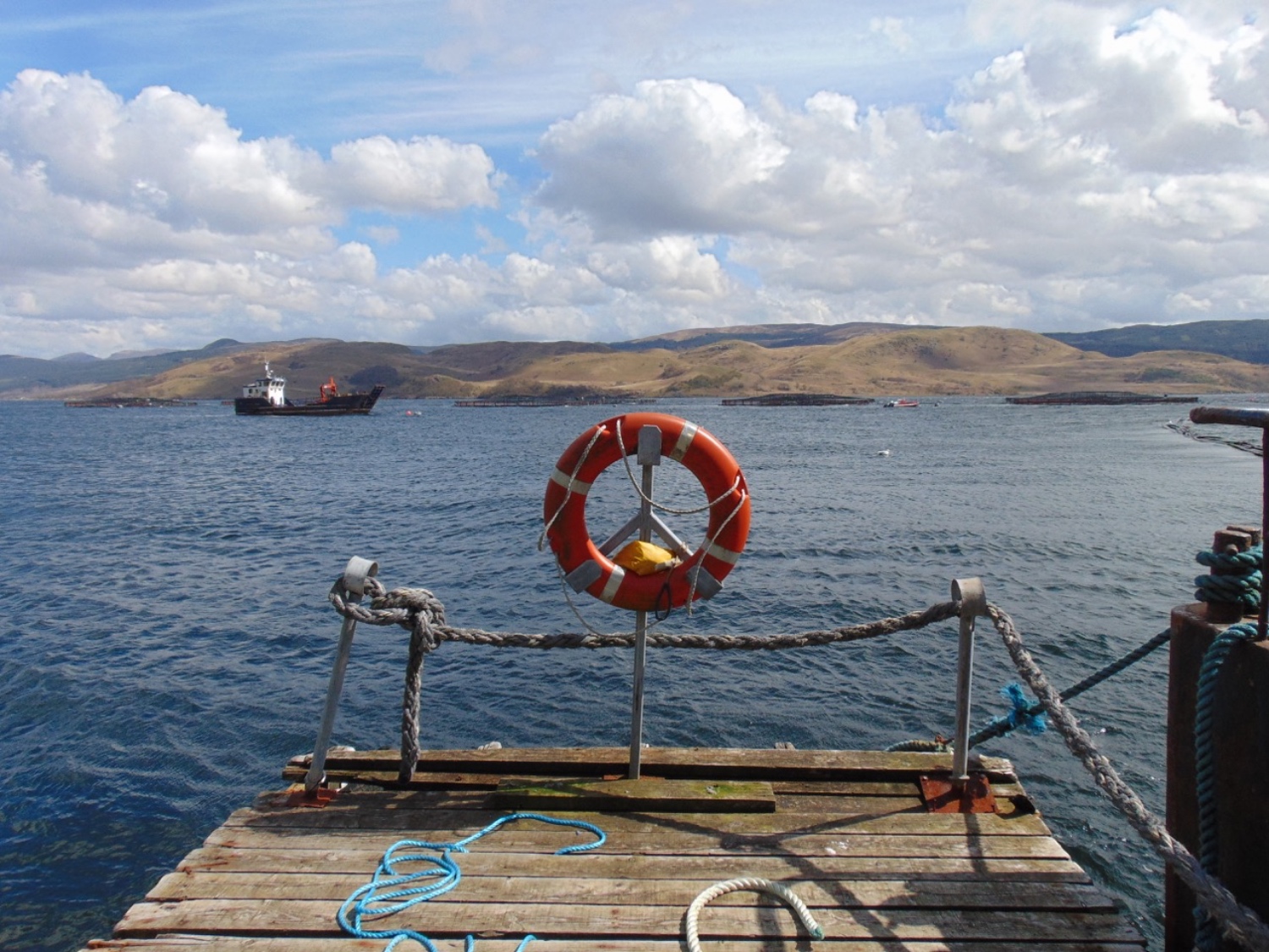 Fish farm_from pier_151118.jpg