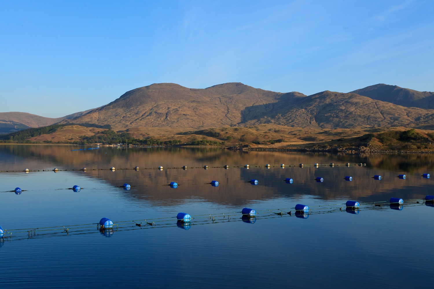 Mussel farming_151118jpg.jpg