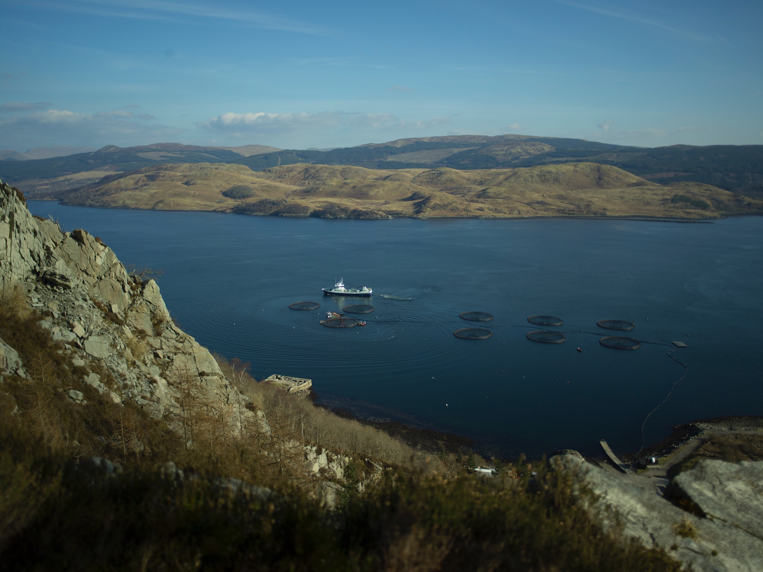 Scenic_fish farm_151118.jpg