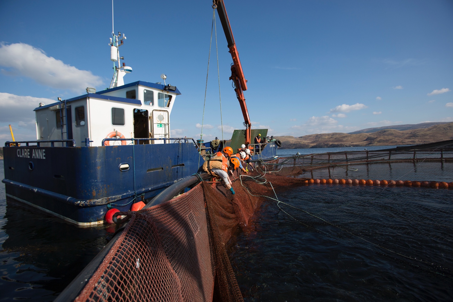 Boat and nets
