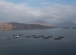 Distant fish farm and boats