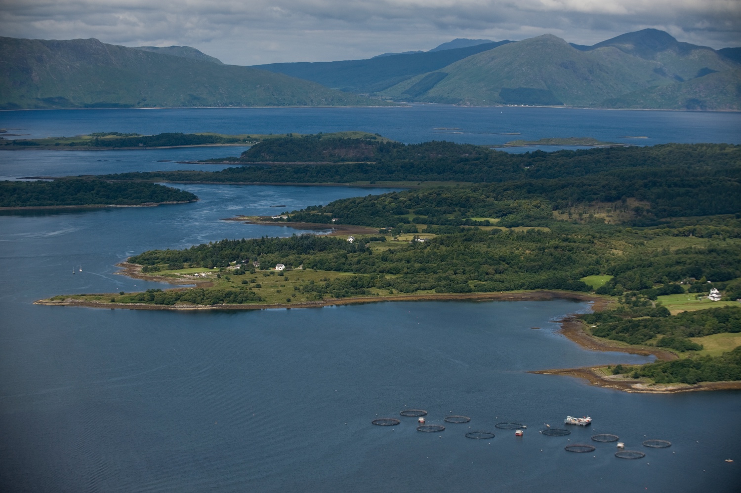 Fish farm from above