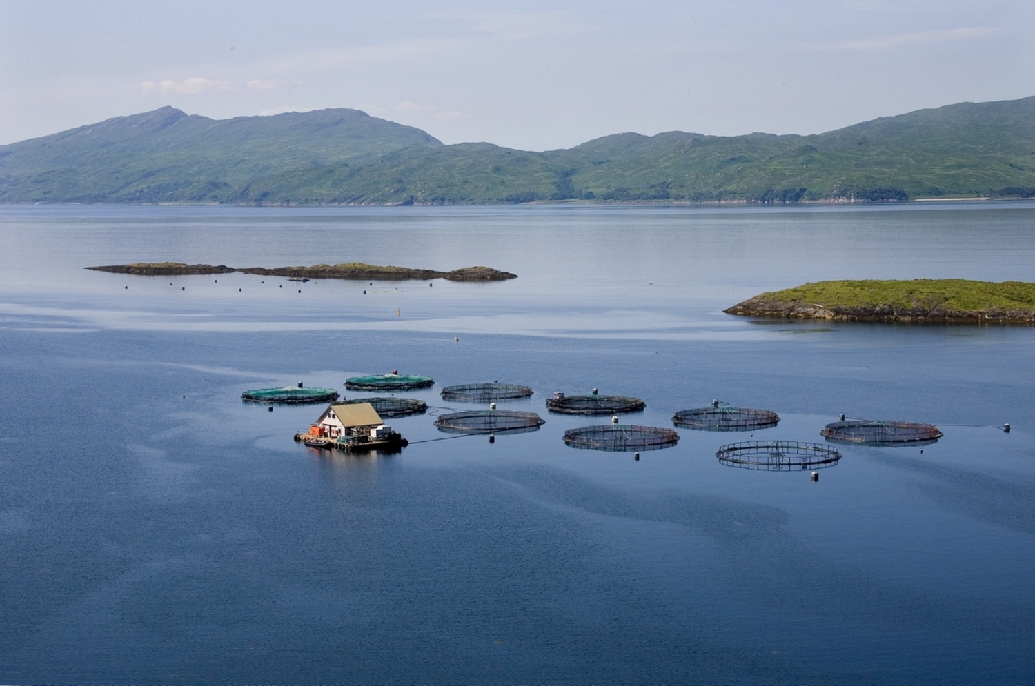 Lismore North landscape and fish farm