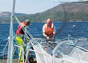 Men working at nets at Laga Bay