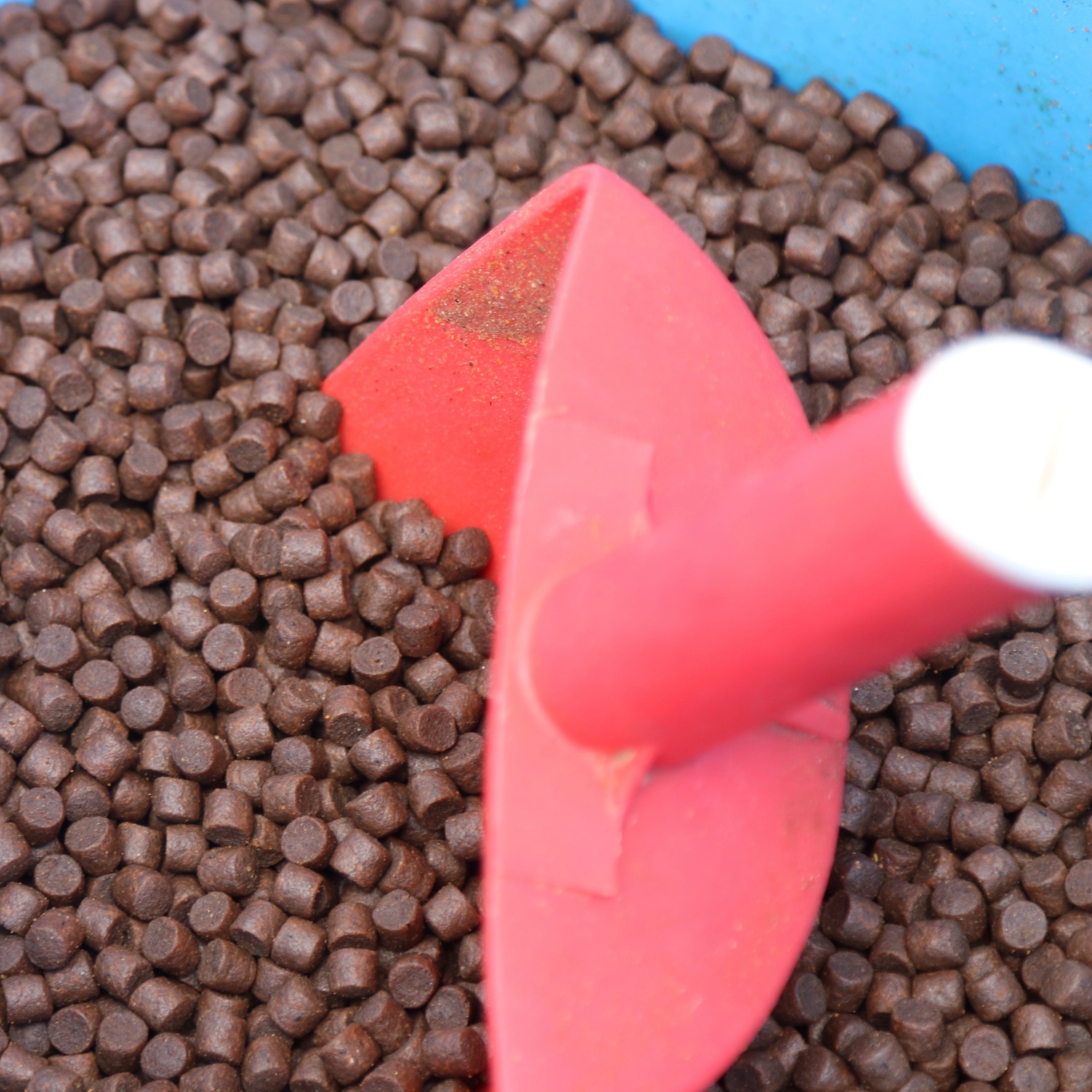 Insectrial revolution: shaping the future of sustainable protein