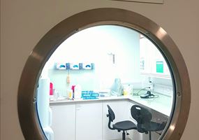 Exploring ultrasound-based technology for salmon delousing