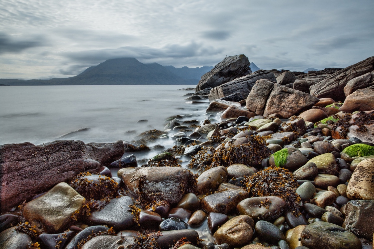 31102018_seaweed on Skye.jpg