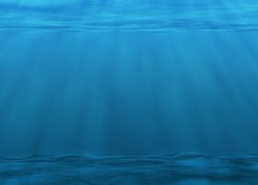 underwater-2615376_1920.jpg