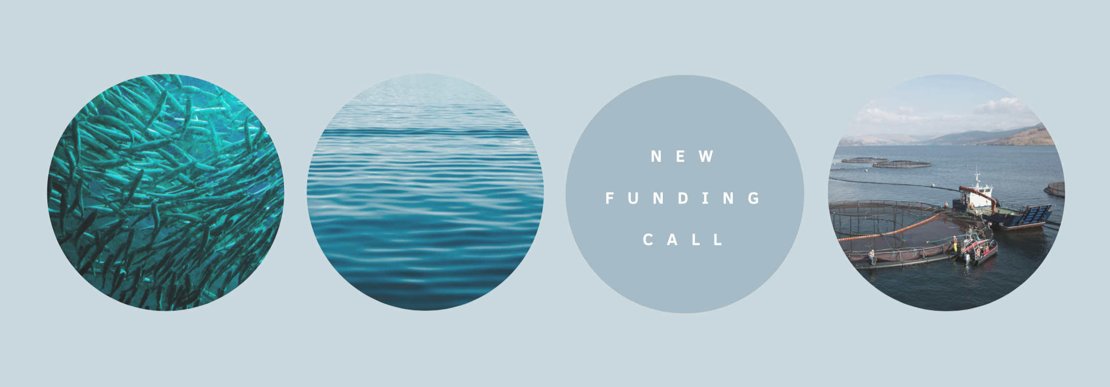 Screenshot 2019-10-14 at 17.20.34.png