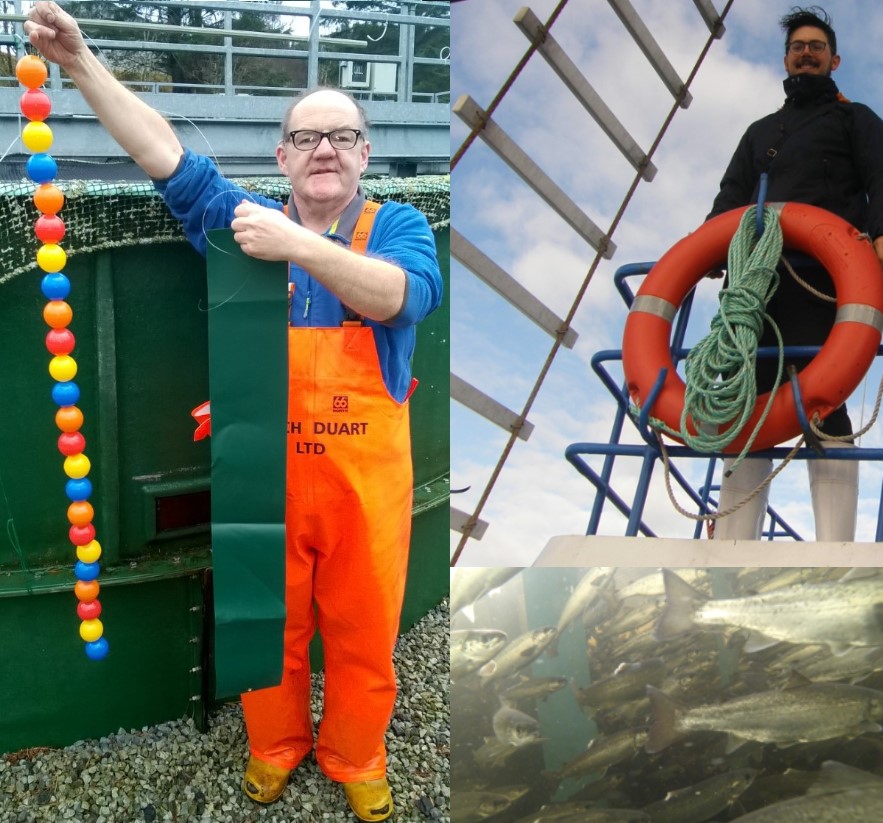 Picture for post survey[2].jpg