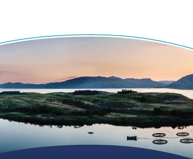 Screenshot 2020-09-14 at 16.25.21.png