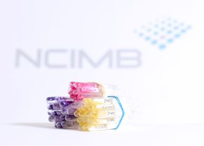 Ampoules (4).jpg