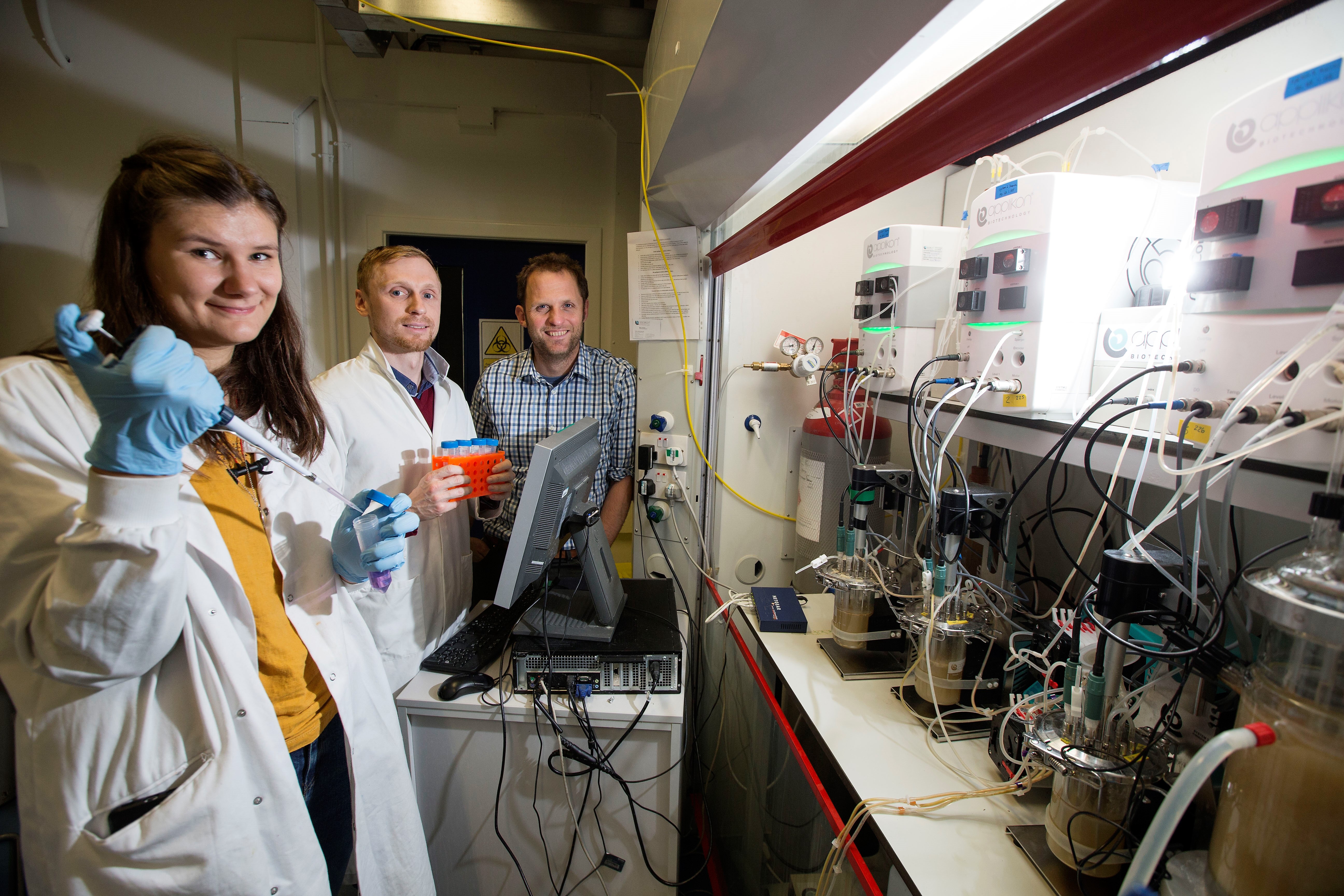 Simulating in vitro Atlantic salmon intestinal microbiome system