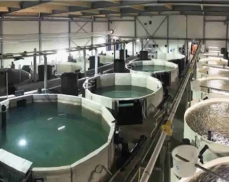 Screenshot 2021-04-22 at 16.10.21.png