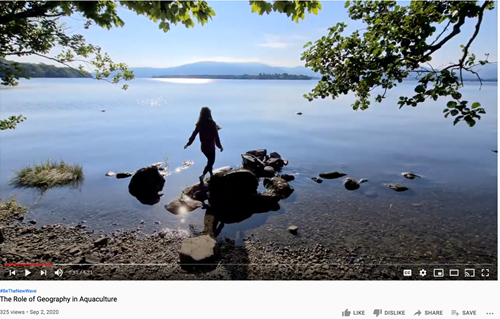 Lisa video