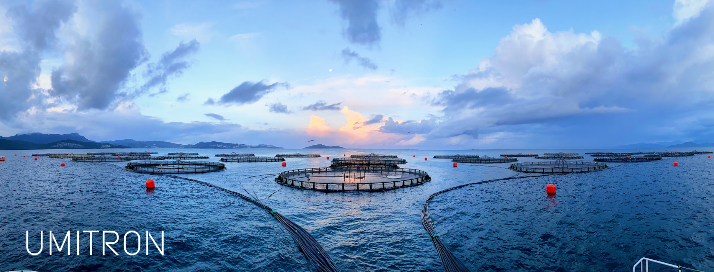 Umitron Offshore.png