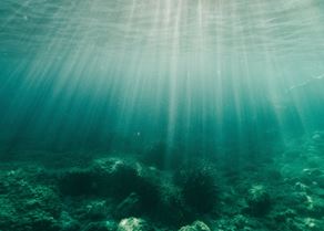 Underwater_seabed stock image.jpg