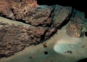 Tritonia animation.png