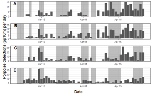 Porpoise detections per day