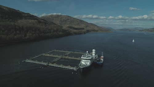 CleanTreat® system workboat alongside the wellboat (front). Image credit: Benchmark Animal Health