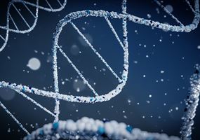 MeioMetBar: Development of DNA-based metagenomic methodologies for seabed monitoring and aquaculture management