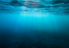Virtual maintenance and training of fish farms through photogrammetry and virtual reality