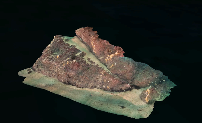 Tritonia 3D model