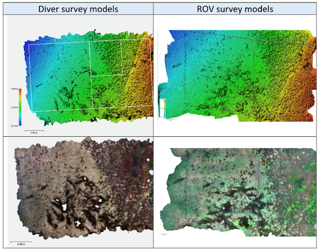 Tritonia diver and ROV survey comparisons