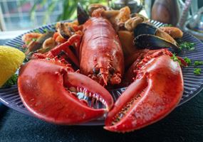 AquaLeap: Innovation in genetics and breeding to advance UK aquaculture production