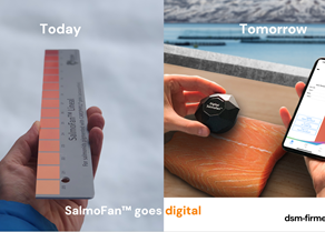 Screenshot 2024-10-15 at 21.20.21.png