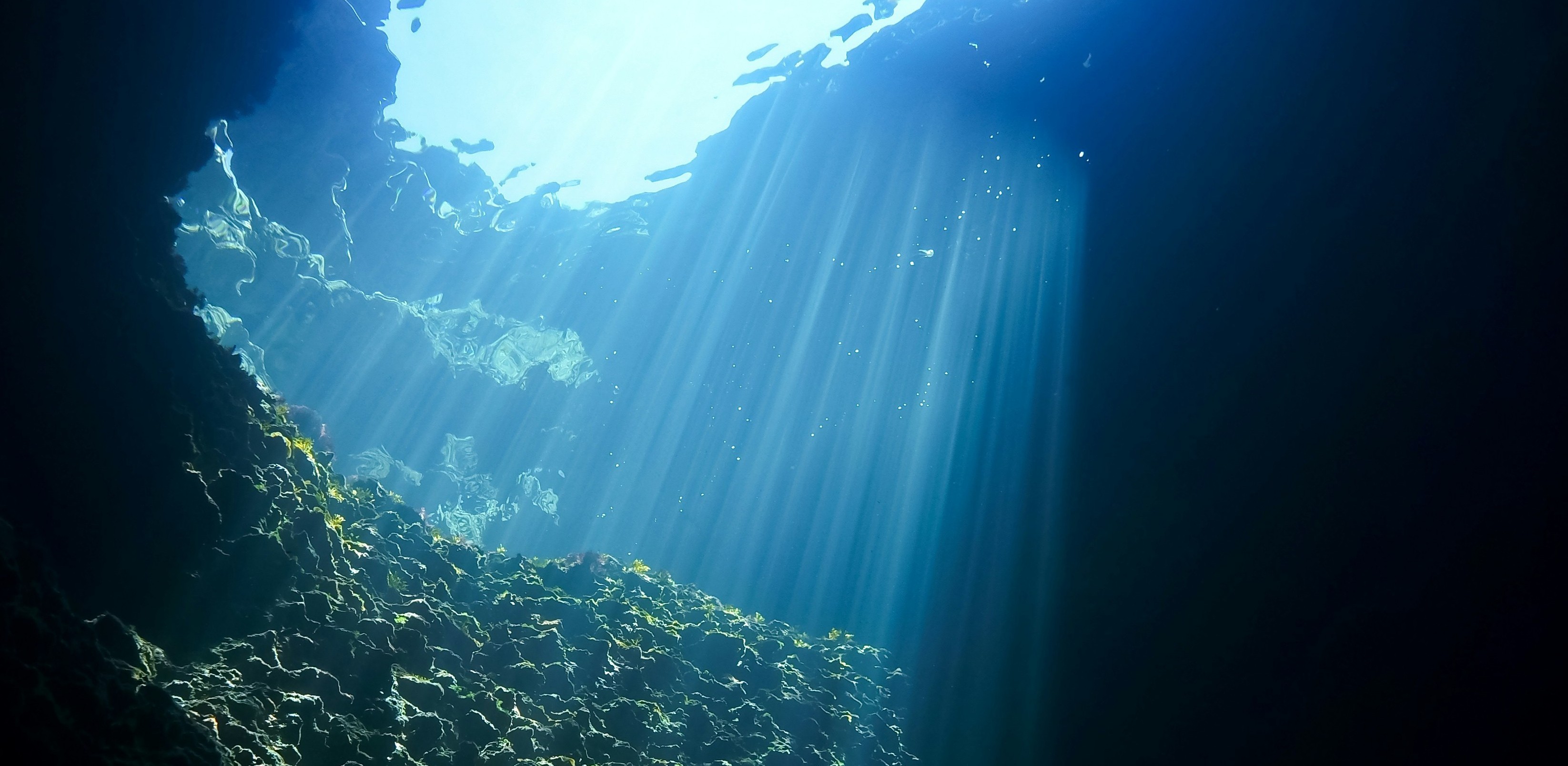 Unsplash geoff-trodd underwater.jpg